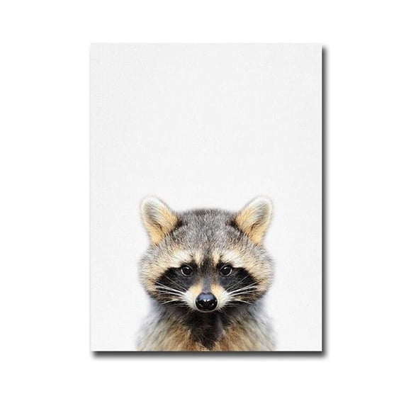 Artistic Home Gallery 1216U196IG Raccoon by Tai Prints Premium Gallery-Wrapped Canvas Giclee Art - 12 x 16 x 1.5 in.