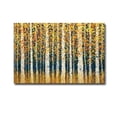 thumbnail image 1 of Artistic Home Gallery 1218544EG Aspen Peace by Daniel Lager Premium Gallery-Wrapped Canvas Giclee Art - 12 x 18 in., 1 of 1