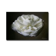 Artistic Home Gallery 1218Y745GG Floating Renunculus by Vitaly Geyman Premium Gallery-Wrapped Canvas Giclee Art - Ready-to-Hang, 12 x 18 x 1.5 in.