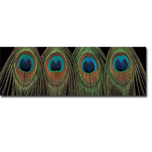 Artistic Home Gallery 1236P448CG Royal Show by Frank Assaf Premium Gallery-Wrapped Canvas Giclee Art - Ready-to-Hang, 12 x 36 x 1.5 in.