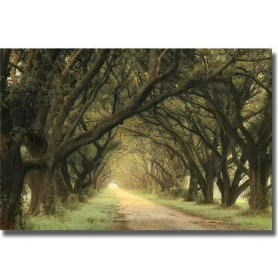 Artistic Home Gallery 1624968CG Evergreen Alley by William Guion Premium Gallery-Wrapped Canvas Giclee Art - 16 x 24 x 1.5 in.