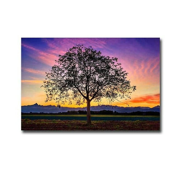 Artistic Home Gallery 1624A784EG Tree of Life by De Faveri Premium Gallery-Wrapped Canvas Giclee Art - 16 x 24 x 1.5 in.