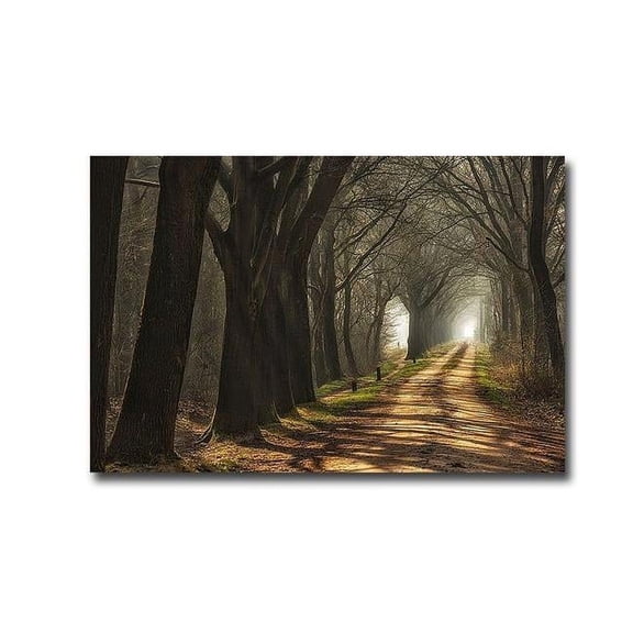 Artistic Home Gallery 1624Q788IG Paths by Lars Van De Goor Custom Gallery-Wrapped Canvas Giclee Art - 16 x 24 x 1.5 in.