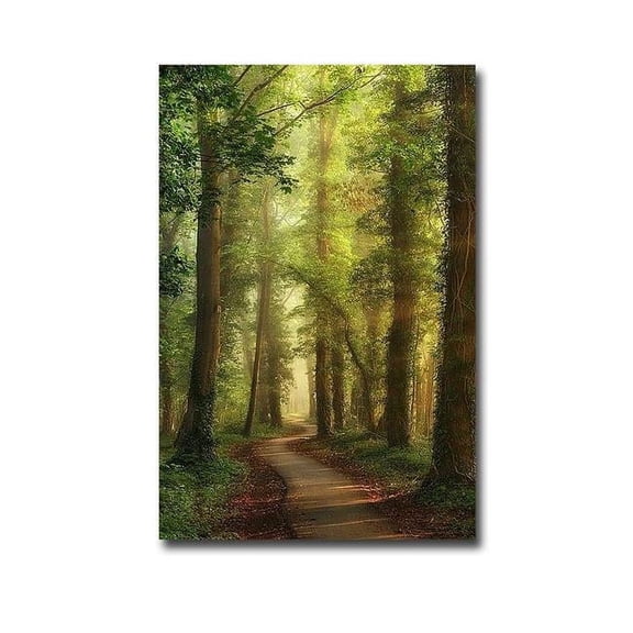 Artistic Home Gallery 1624R788IG Snake Path by Lars Van De Goor Custom Gallery-Wrapped Canvas Giclee Art - 16 x 24 x 1.5 in.