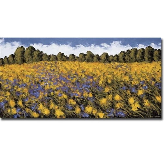 Artistic Home Gallery 1632A104CG Fields of Gold by Wayne Leidenfrost Premium Gallery-Wrapped Canvas Giclee Art - 16 x 32 x 1.5 in.