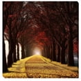 thumbnail image 1 of Artistic Home Gallery 2424327G Wonder Curve Canvas Artwork - 25 in., 1 of 1
