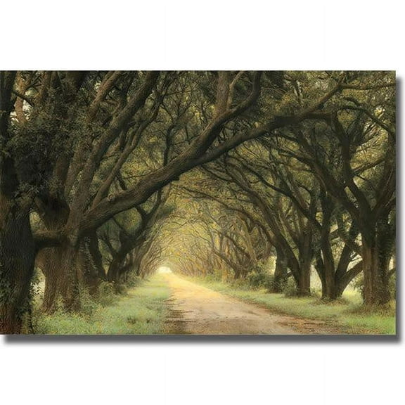 Artistic Home Gallery 2436674S Evergreen Alley by William Guion Premium Stretched Canvas Wall Art