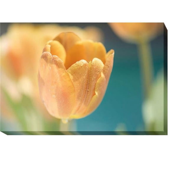 Artistic Home Gallery 2436Y493CG Delightful by Dina Marie Premium Gallery-Wrapped Canvas Giclee Art - Ready-to-Hang, 24 x 36 x 1.5 in.