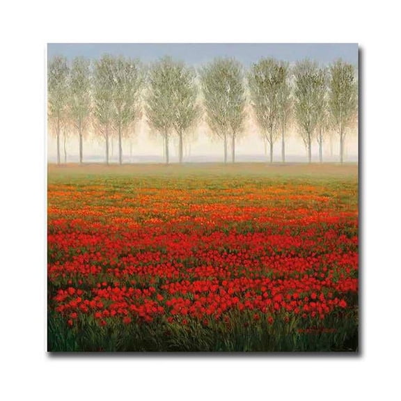 Artistic Home Gallery 3030AM762EG Morning Mist by Park Premium Gallery Wrapped Canvas Giclee Art - Ready to Hang, 30 x 30 x 1.5 in.