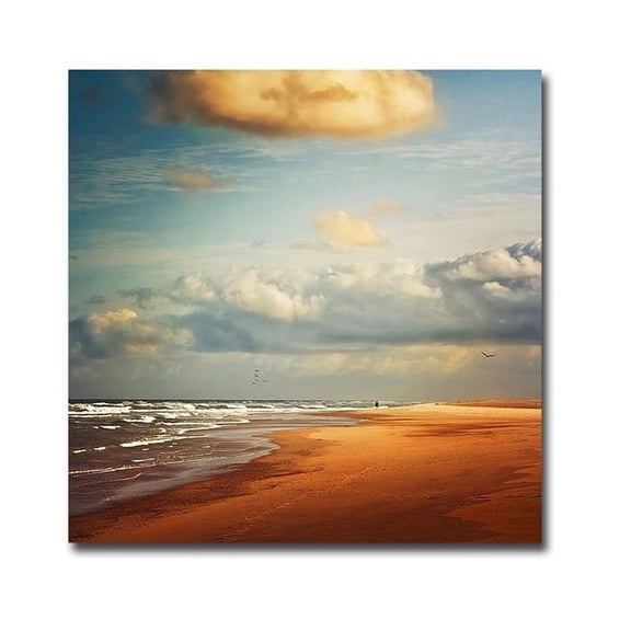 Artistic Home Gallery 3030I787IG Dream Beach by Dirk Wuestenhagen Premium Gallery-Wrapped Canvas Giclee Panorama Art - Ready to Hang, 30 x 30 x 1.5 in.