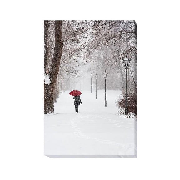 Artistic Home Gallery 3045U534IG Winter Rose by Stefano Corso Premium Oversize Gallery-Wrapped Canvas Giclee Art - 45 x 30 x 1.5 in.