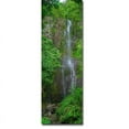 thumbnail image 1 of Artistic Home Gallery Maui Waterfall by Scott Bennion Gallery Wrapped Canvas Giclee Art (36 in x 12 in), 1 of 1