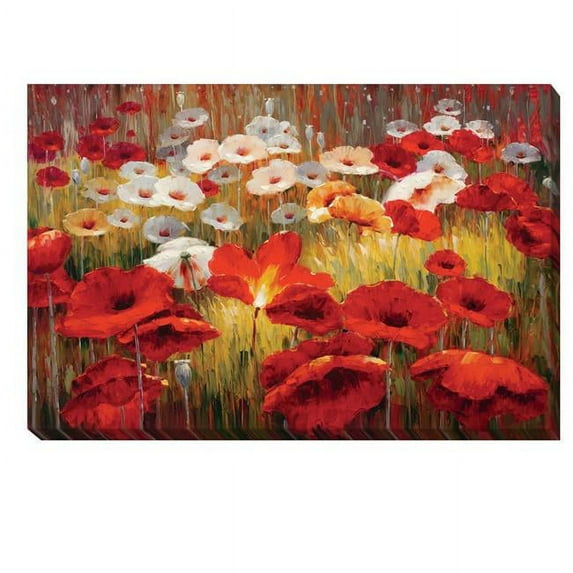 Artistic Home Gallery 1624B762EG Meadow Poppies II by Lucas Santini Premium Gallery-Wrapped Canvas Giclee Art - 16 x 24 x 1.5 in.