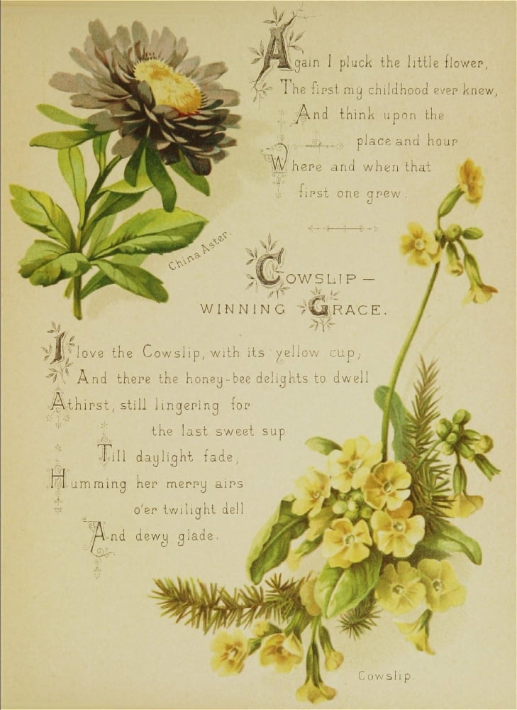 Artistic Language of Flowers 1888 Again I pluck Canvas Art - Unknown (18 x 24)
