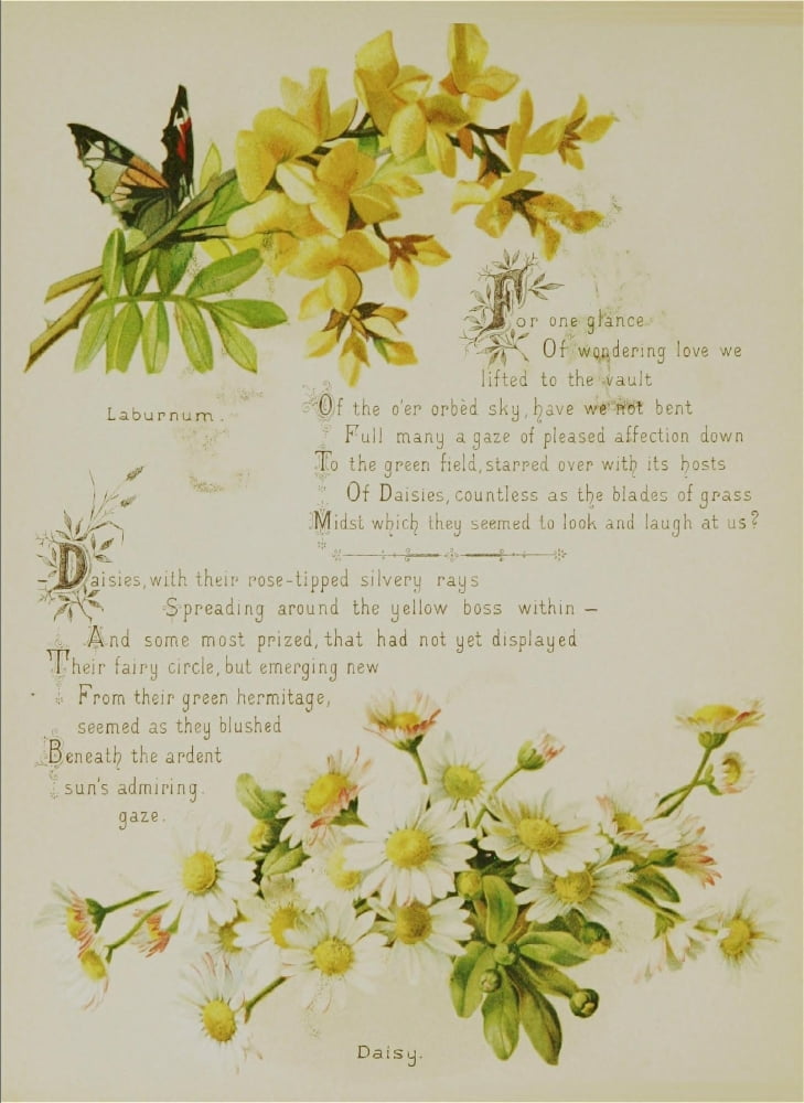 Artistic Language of Flowers 1888 For one glance Canvas Art - Unknown (18 x 24)