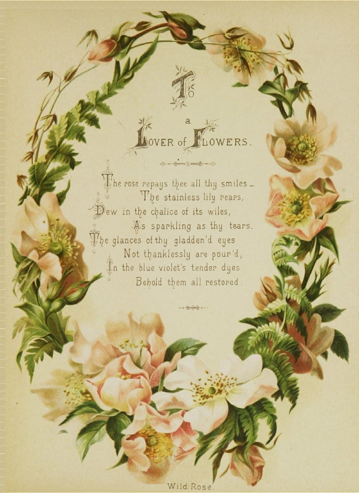 Artistic Language of Flowers 1888 Lover of Flowers Canvas Art - Unknown (18 x 24)