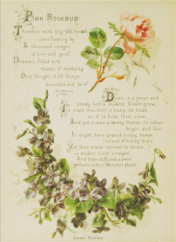 Artistic Language of Flowers 1888 Pink Rosebud Canvas Art - Unknown (18 x 24)