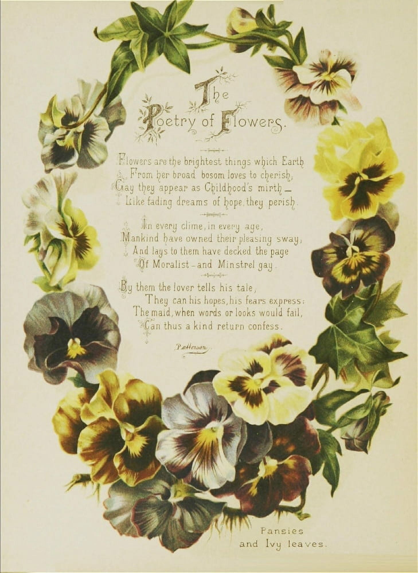 Artistic Language of Flowers 1888 Poetry of Flowers Canvas Art - Unknown (18 x 24)