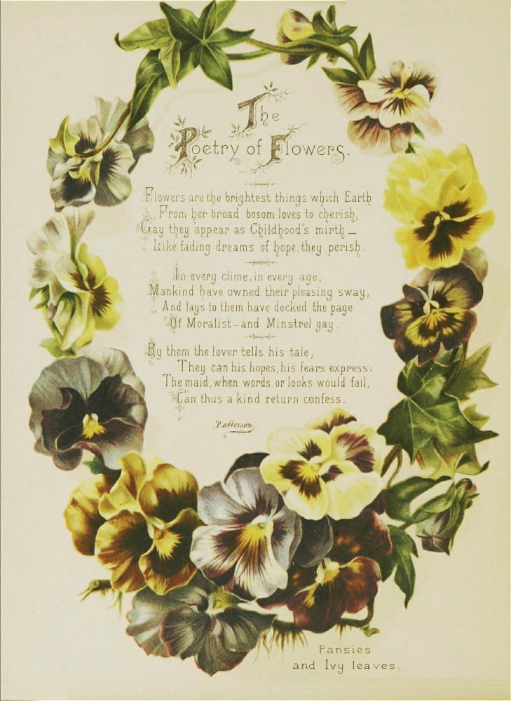 Artistic Language of Flowers 1888 Poetry of Flowers Canvas Art - Unknown (24 x 36)
