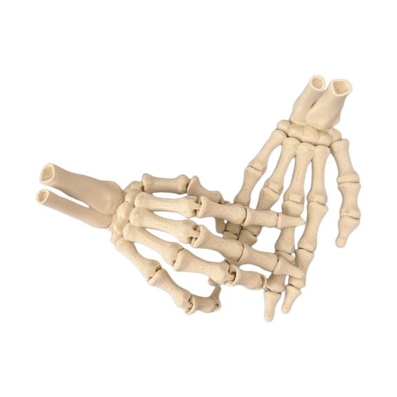 Artistic Printed Skeleton Hand Ornament Home Accent For Bookcase Shelf Or Themed Event Display