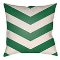 thumbnail image 1 of Artistic Weavers LTCH1012-1616 Litchfield Square Pillow, Kelly Green & Ivory - 16 x 16 ft., 1 of 7