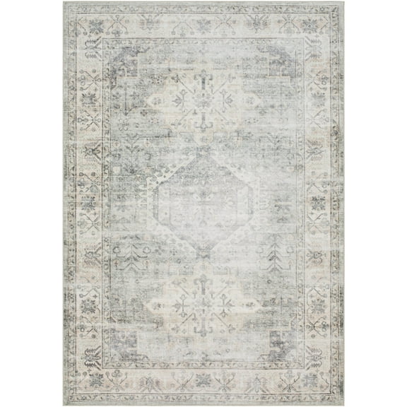 Artistic Weavers Lavable Machine Washable Area Rug, 2' x 2'11", Gray