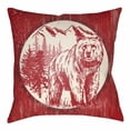 thumbnail image 1 of Indoor Outdoor LGCB2012-1818 Square 18" x 18" Pillow Cover + Polyfill, 1 of 7
