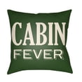 thumbnail image 1 of Artistic Weavers Lodge Cabin Fever Indoor/Outdoor Throw Pillow, 1 of 7