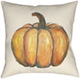 thumbnail image 1 of Surya Lodge Cabin Pillow Cover With Orange Finish LGCB2091-2020, 1 of 1