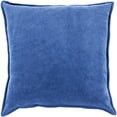 thumbnail image 1 of Artistic Weavers Velizh 22" x 22" Pillow (with Down Fill), 1 of 1