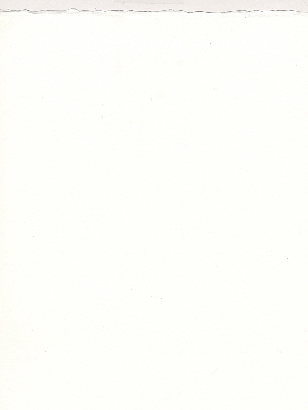 Artistico Watercolor Paper extra white, 140 lb. cold press, 22 in. x 30 in. (pack of 10)