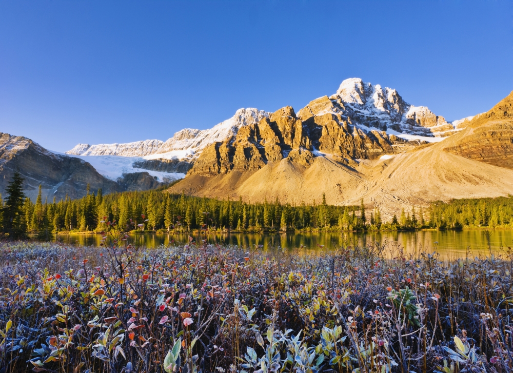 Artists Choice Bow Lake And Crowfoot Mountain At Sunrise In Fall Banff National Park Alberta Canvas Art - Yves Marcoux Design Pics (16 x 12)