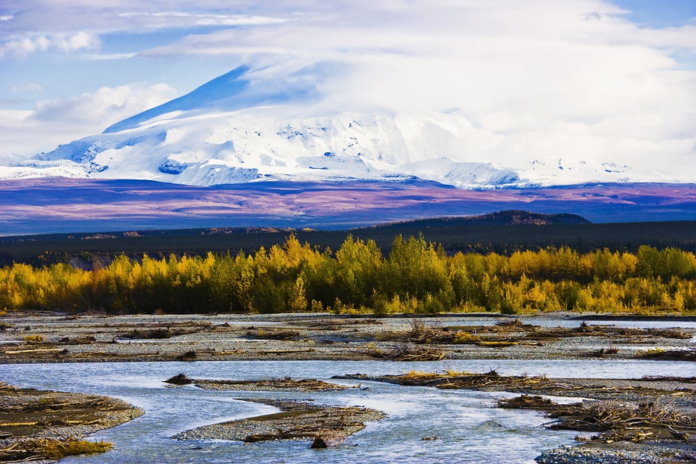 Artists Choice Chistochina River And Mount Sanford Alaska Canvas Art - Yves Marcoux Design Pics (17 x 11)