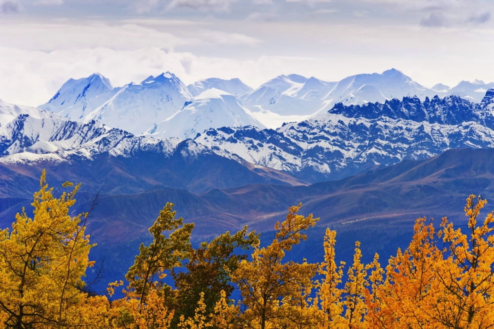 Artists Choice Fall Colours And Mountains Of Kluane National Park Along Alaska Highway Yukon Canvas Art - Yves Marcoux Design Pics (34 x 22)