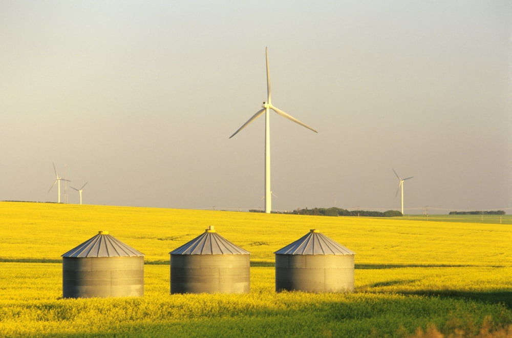 Artists Choice Grain Bins And Wind Turbines In Canola Field Near St Leon Manitoba Canvas Art - Dave Reede Design Pics (34 x 22)