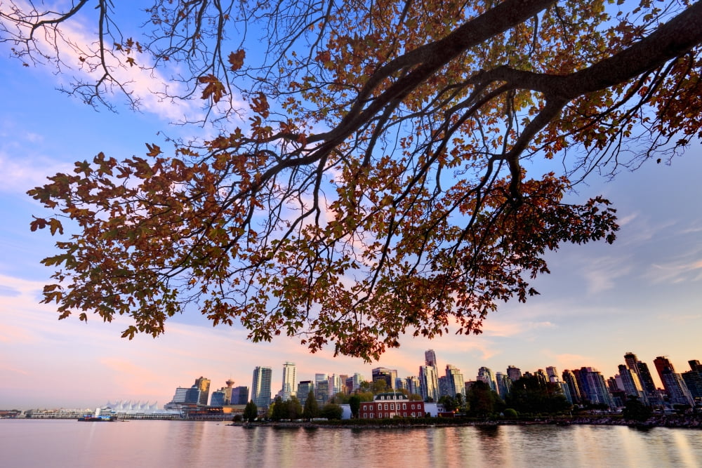 Artists Choice Skyline With New Convention Centre From Coal Harbour At Dusk Vancouver British Columbia Canvas Art - Ron Watts Design Pics (34 x 22)