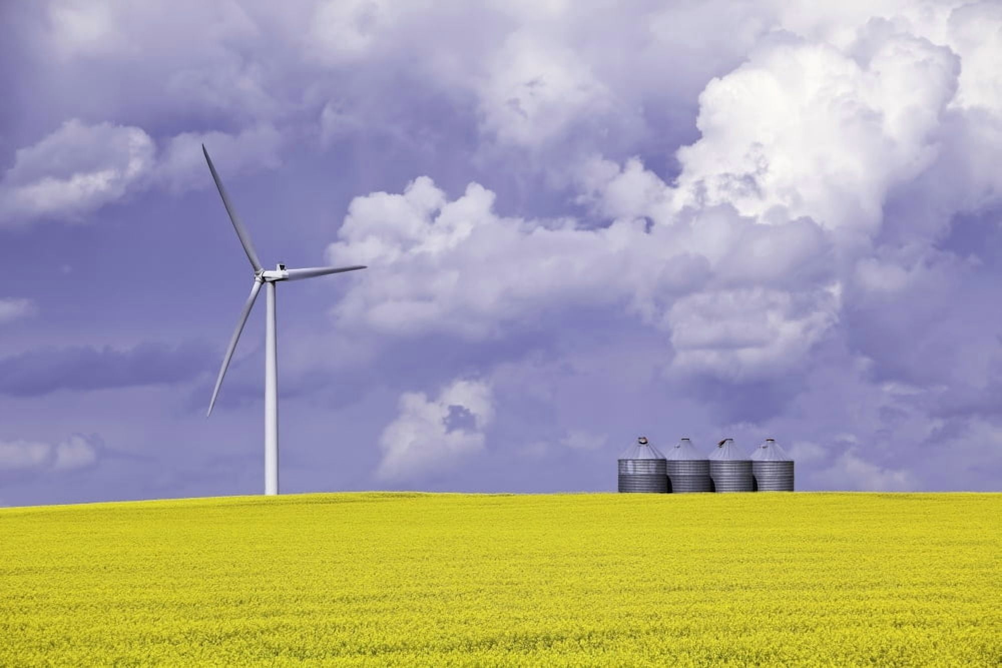 Artists Choice Wind Turbine And Canola Field On Stormy Day St Leon Manitoba Canvas Art - Ken Gillespie Design Pics (34 x 22)