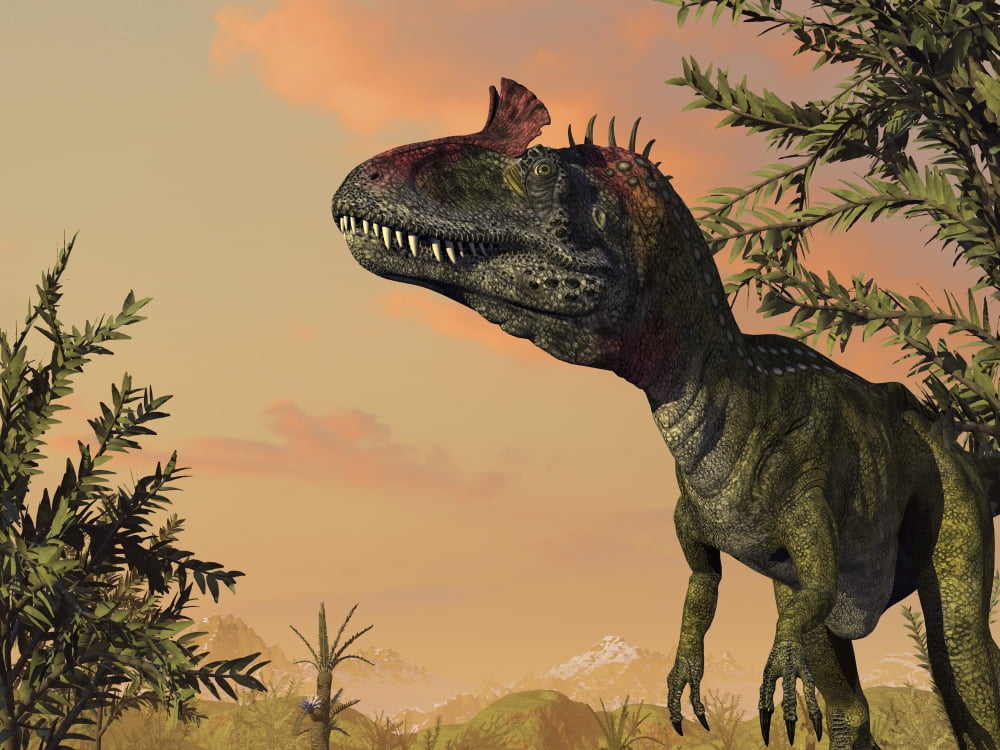Artists concept of Cryolophosaurus Canvas Art - Walter MyersStocktrek Images (33 x 25)