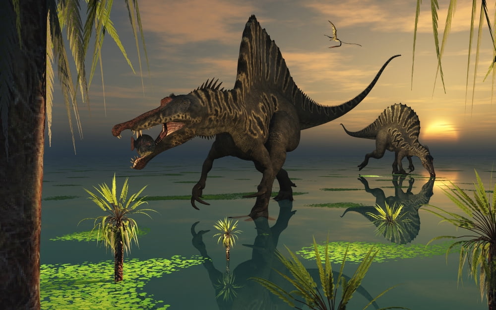 Artists concept of Spinosaurus Canvas Art - Mark StevensonStocktrek Images (36 x 23)