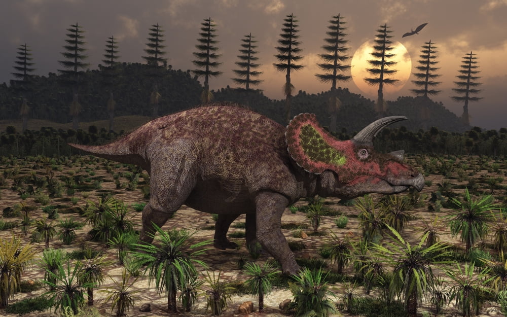 Artists concept of Triceratops Canvas Art - Mark StevensonStocktrek Images (36 x 23)