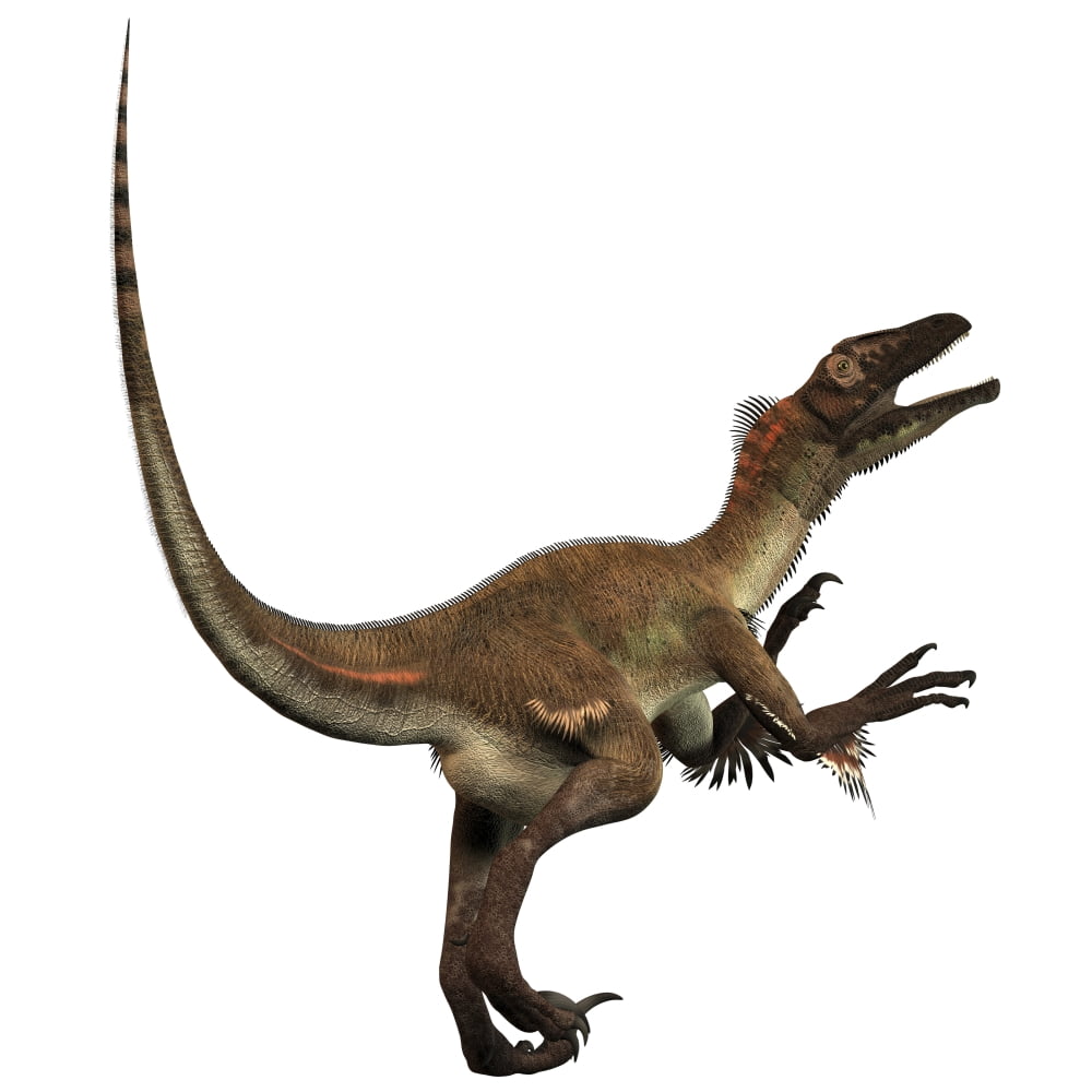 Artists concept of a Utahraptor Canvas Art - Corey FordStocktrek Images (28 x 28)