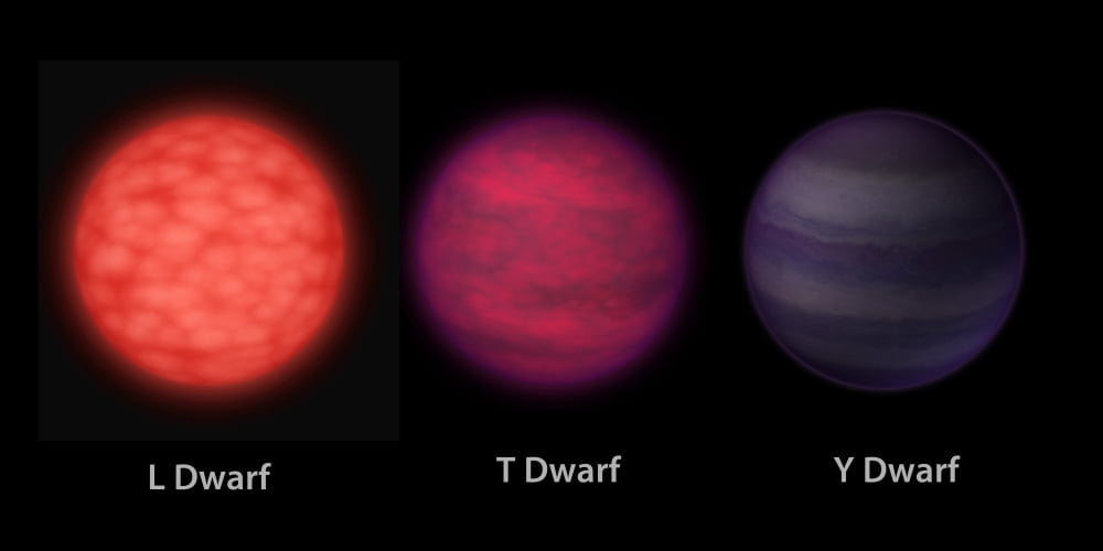 Artists concept of brown dwarfs as seen by an interstellar traveler Canvas Art - Stocktrek Images (40 x 20)