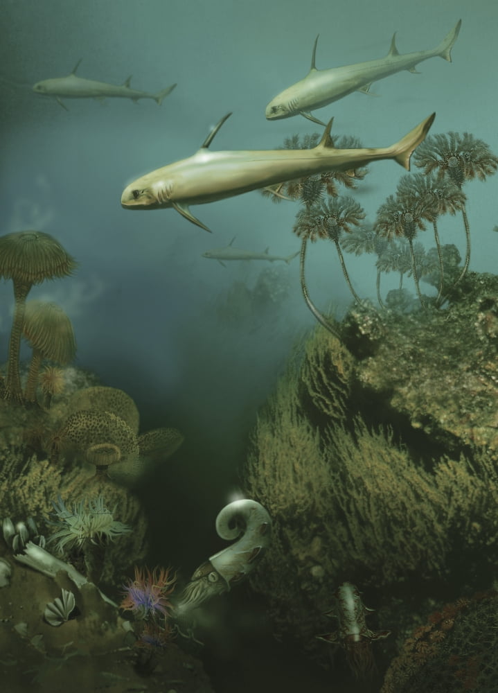 Artists concept of the incredible forms of life found in Devonian seas of the Paleozoic Era Canvas Art - Jan SovakStocktrek Images (24 x 33)