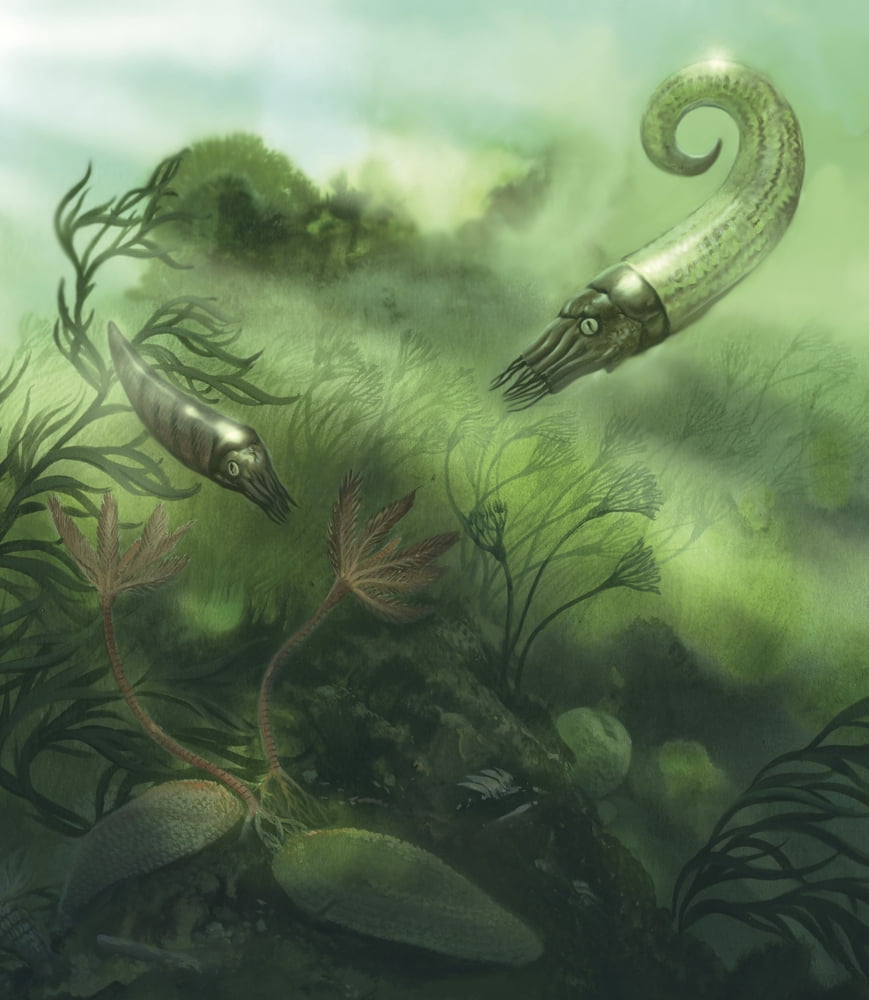 Artists concept of the incredible forms of life found in Silurian seas of the Paleozoic Era Canvas Art - Jan SovakStocktrek Images (26 x 30)
