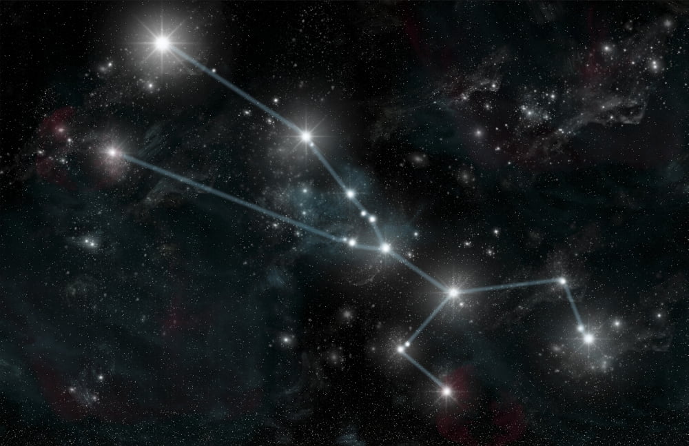 Artists depiction of the constellation Taurus the Bull Canvas Art - Marc WardStocktrek Images (35 x 23)