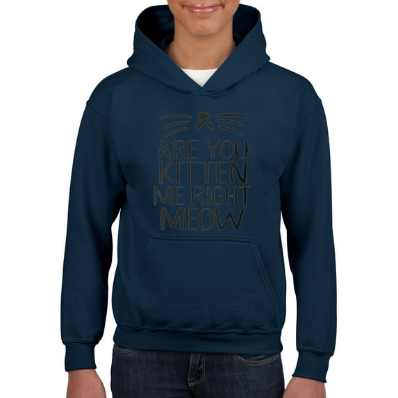 Artix - Big Boys Hoodies and Sweatshirts - Are You Kitten Me Right Meow