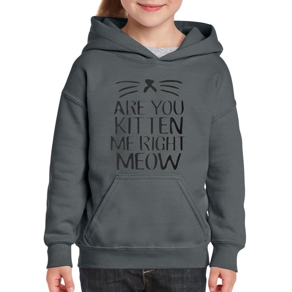 Artix - Big Girls Hoodies and Sweatshirts - Are You Kitten Me Right Meow