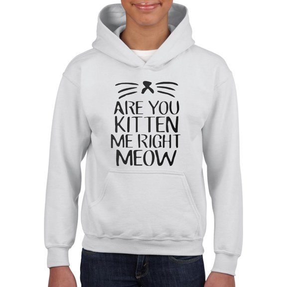 Artix - Big Girls Hoodies and Sweatshirts - Are You Kitten Me Right Meow