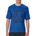 thumbnail image 1 of Artix - Big Men's T-Shirt - Are You Kitten Me Right Meow, 1 of 5