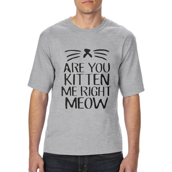 Artix - Big Men's T-Shirt - Are You Kitten Me Right Meow